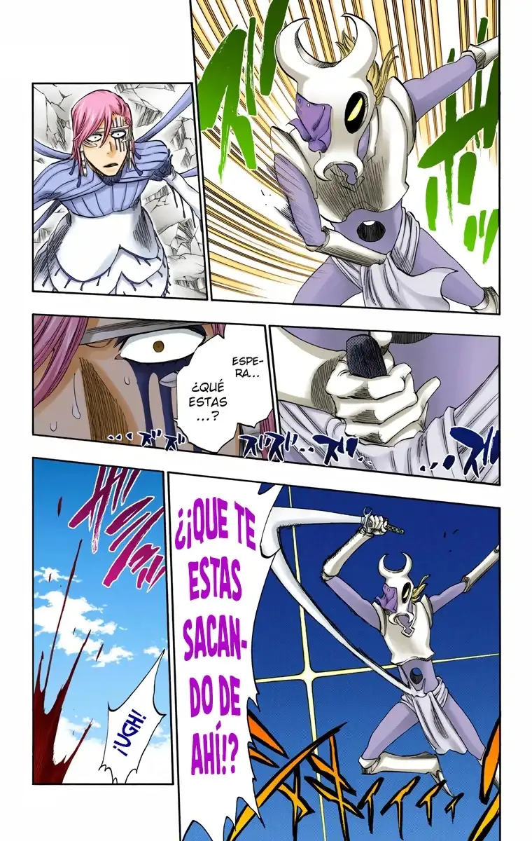 Bleach Capitulo 296 page 14
