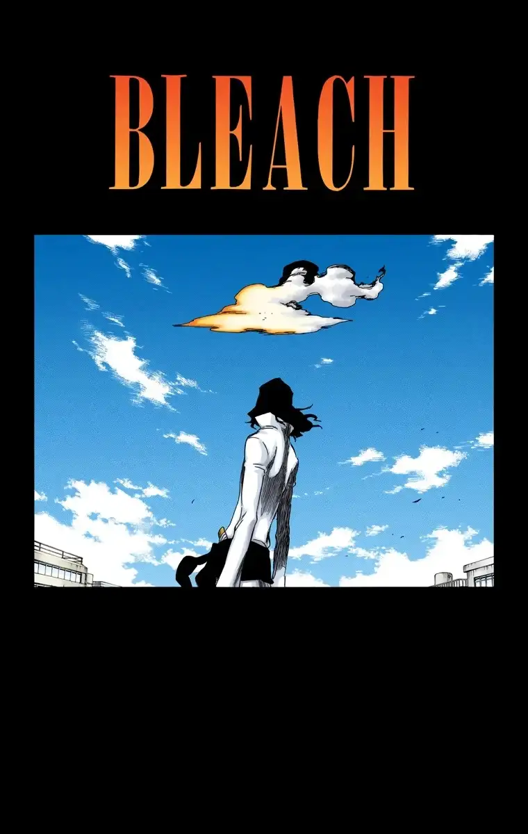 Bleach Capitulo 361 page 8