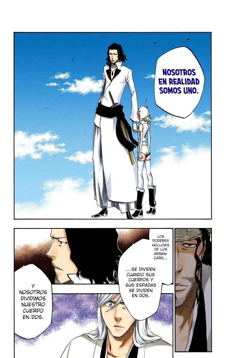 Bleach Capitulo 361 page 14