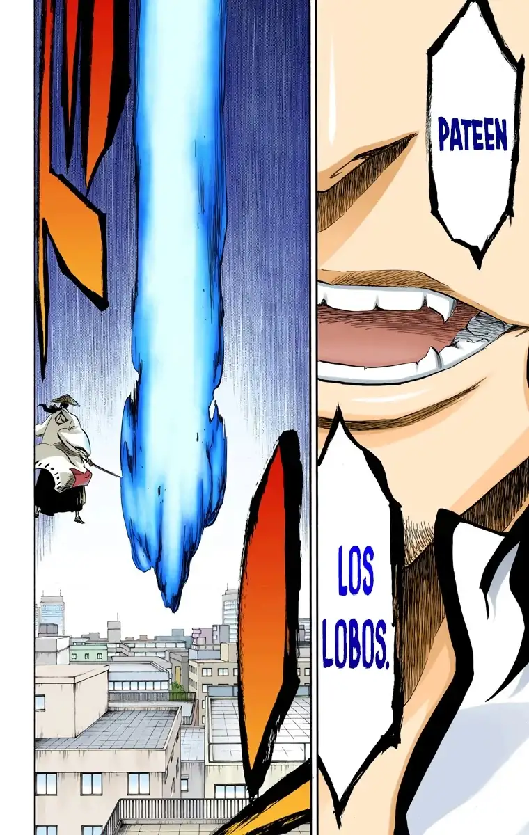 Bleach Capitulo 361 page 16