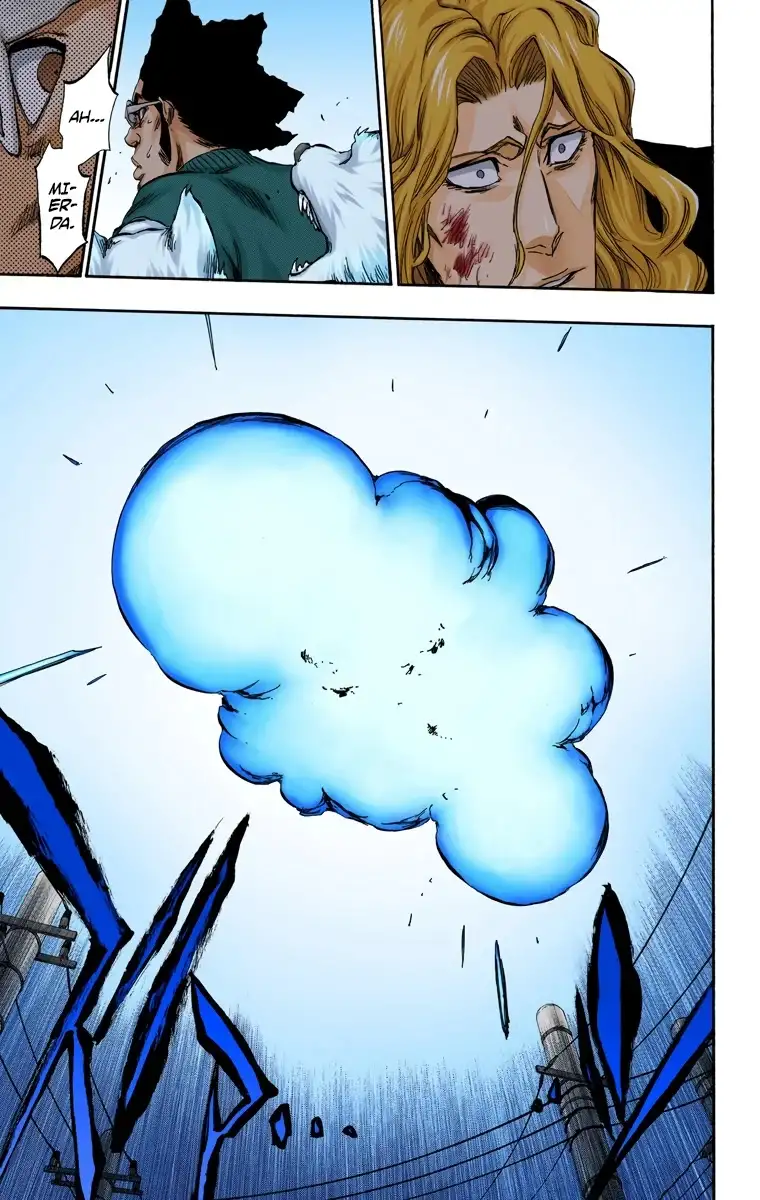 Bleach Capitulo 373 page 13