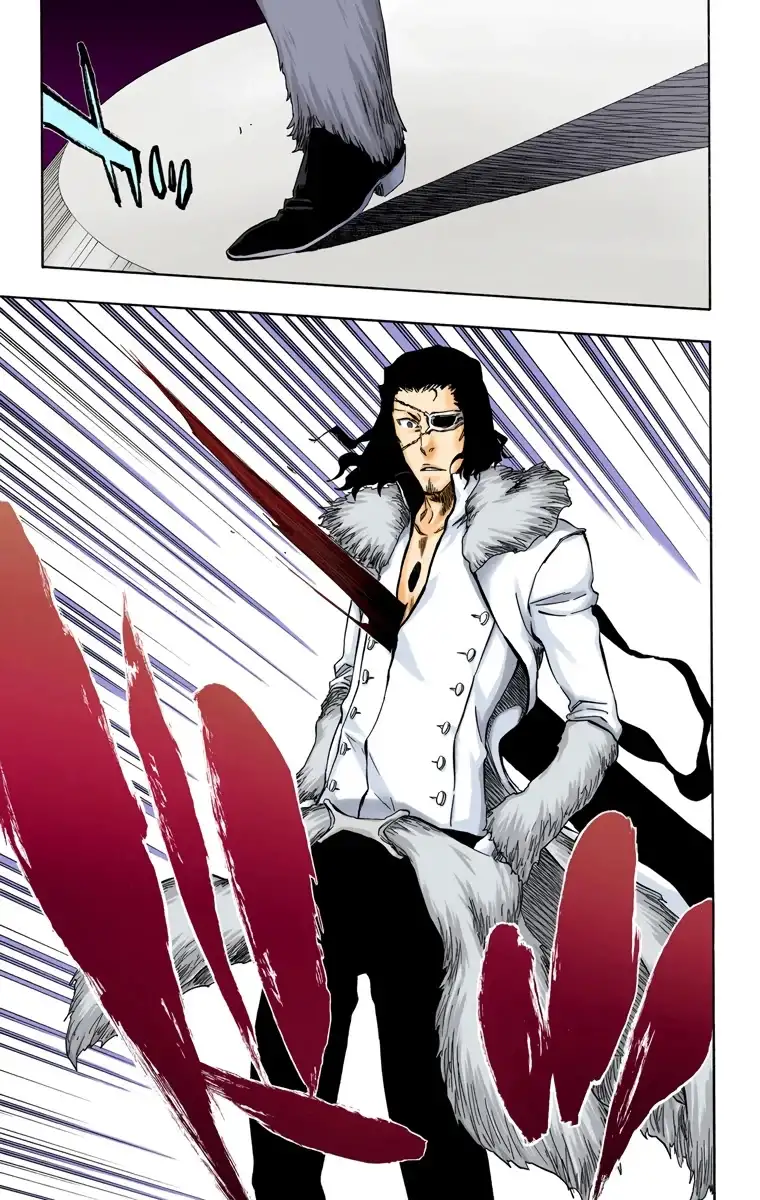 Bleach Capitulo 373 page 17