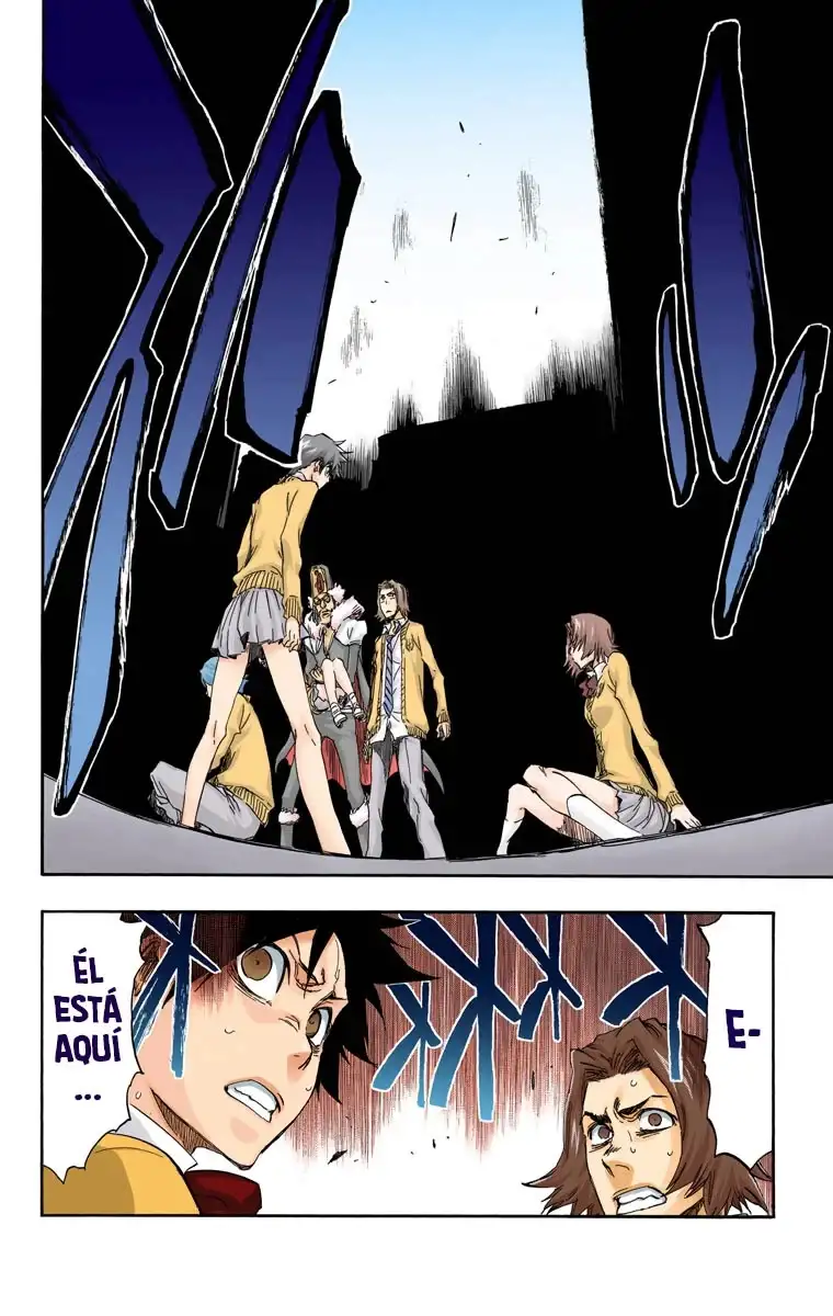 Bleach Capitulo 413 page 8