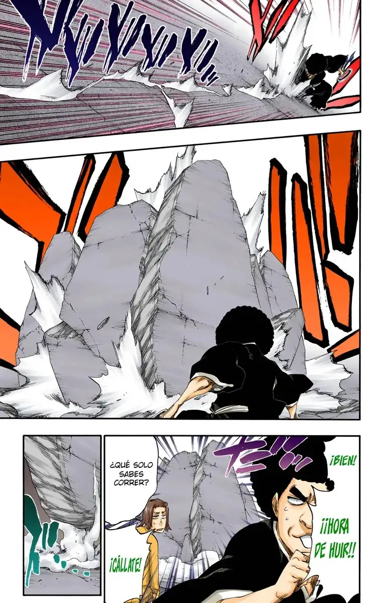 Bleach Capitulo 413 page 17