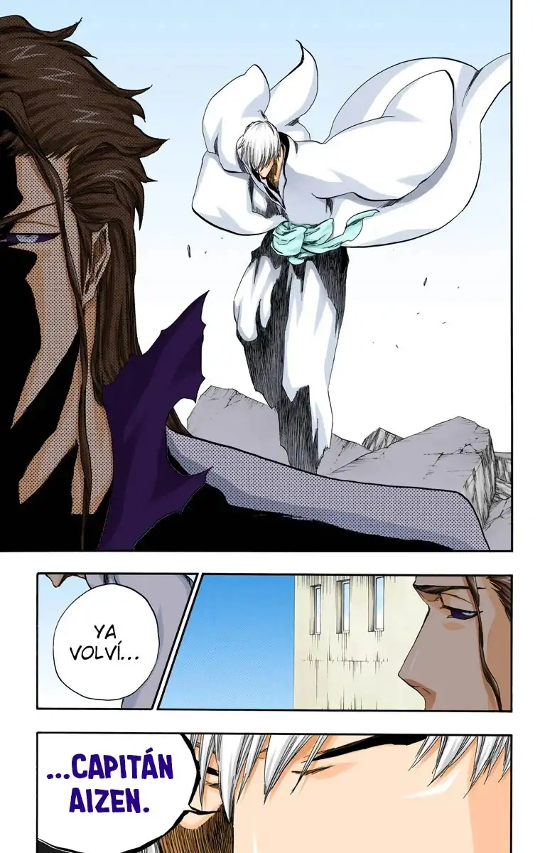 Bleach Capitulo 413 page 19