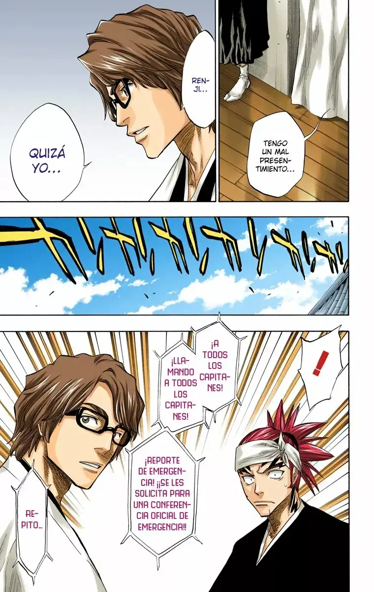 Bleach Capitulo 79 page 13