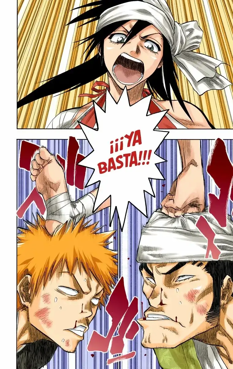 Bleach Capitulo 79 page 14