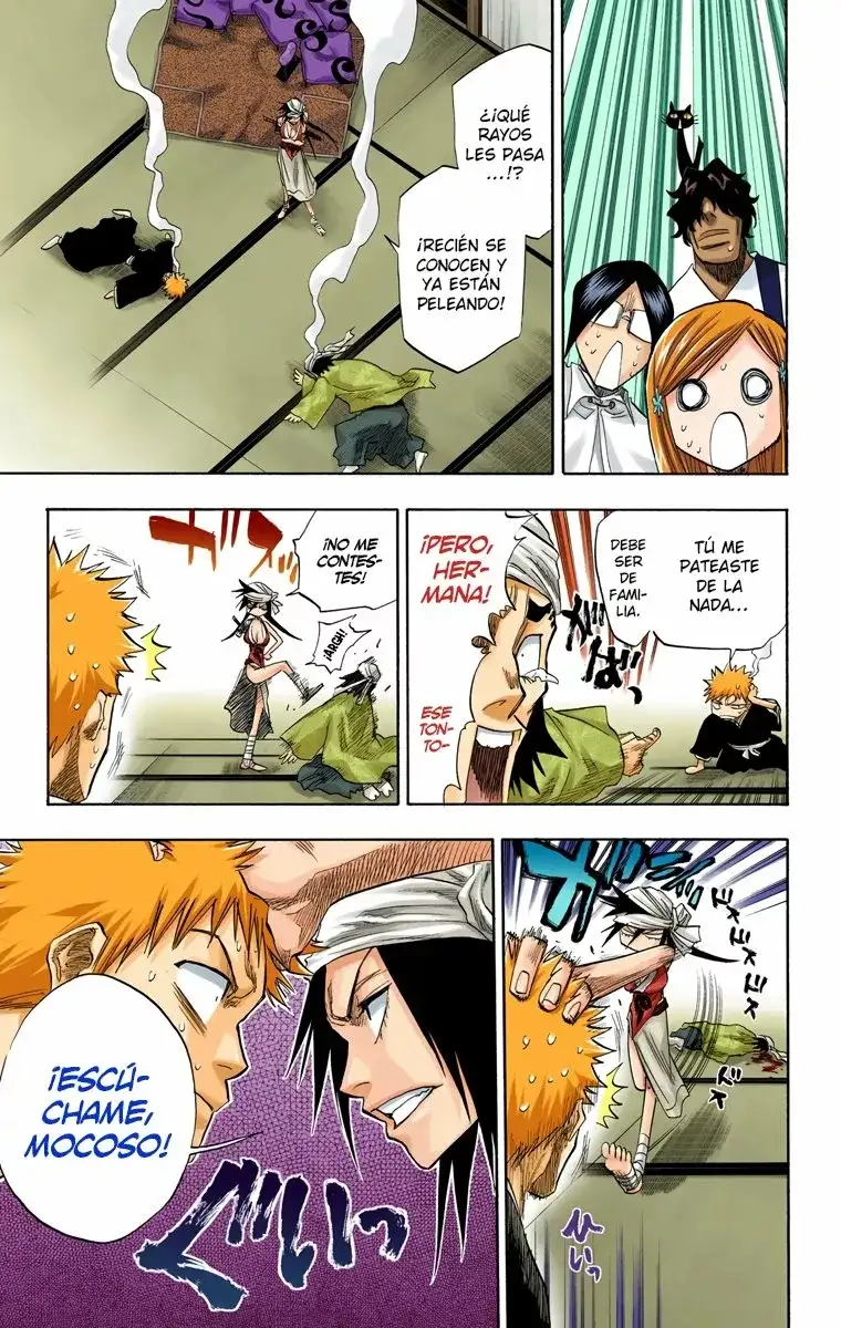 Bleach Capitulo 79 page 15