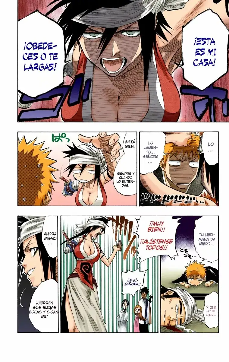 Bleach Capitulo 79 page 16