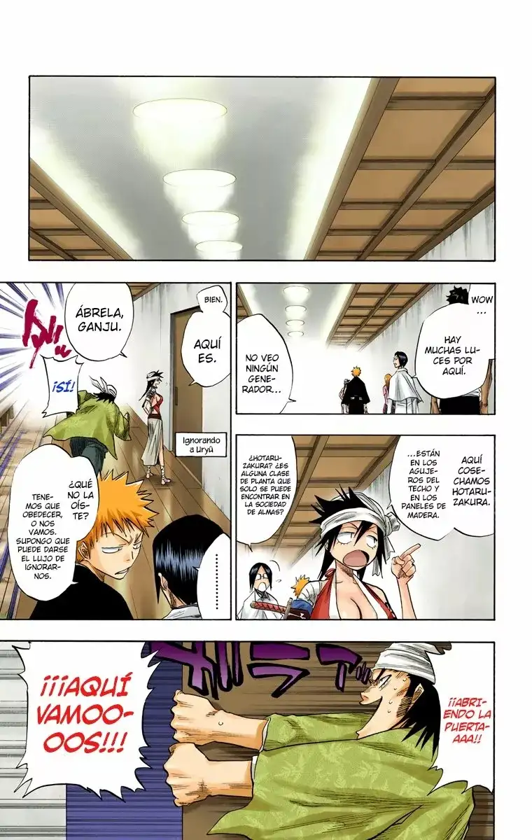 Bleach Capitulo 79 page 17
