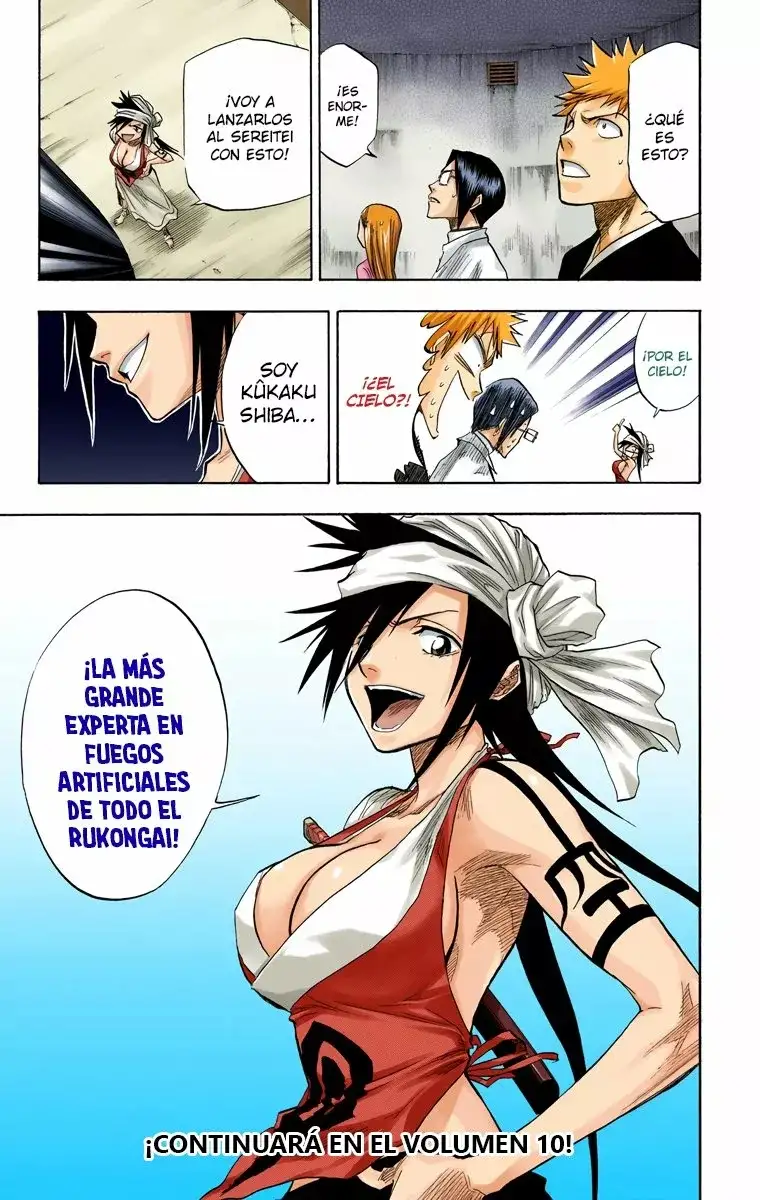 Bleach Capitulo 79 page 19