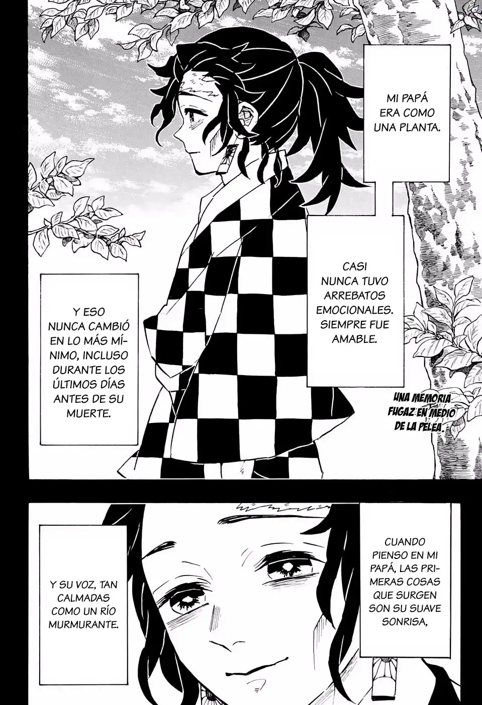 Kimetsu no Yaiba Capitulo 151 page 2