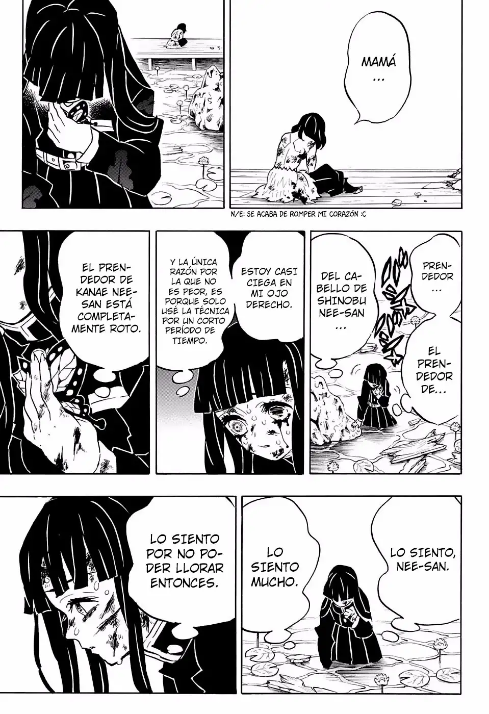 Kimetsu no Yaiba Capitulo 163 page 13