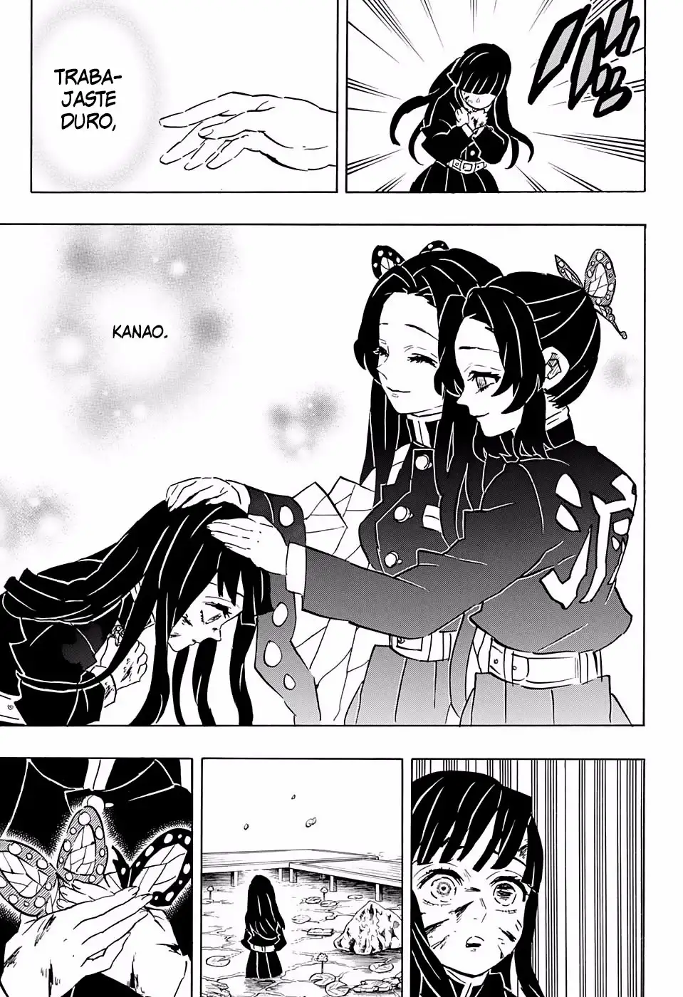 Kimetsu no Yaiba Capitulo 163 page 17