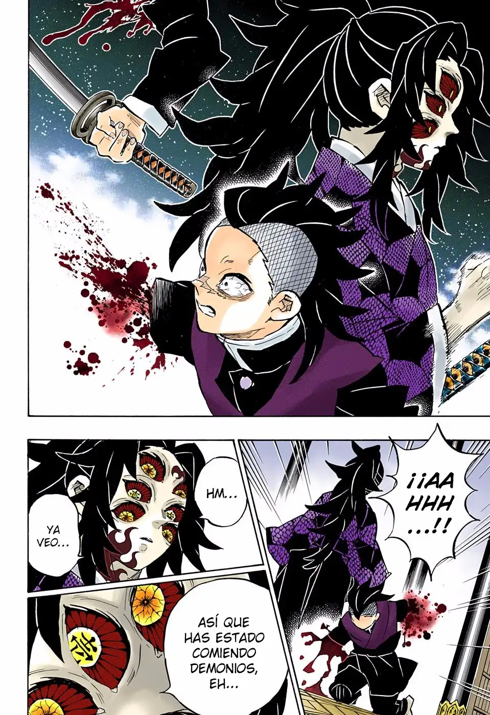 Kimetsu no Yaiba Capitulo 166.5 page 6