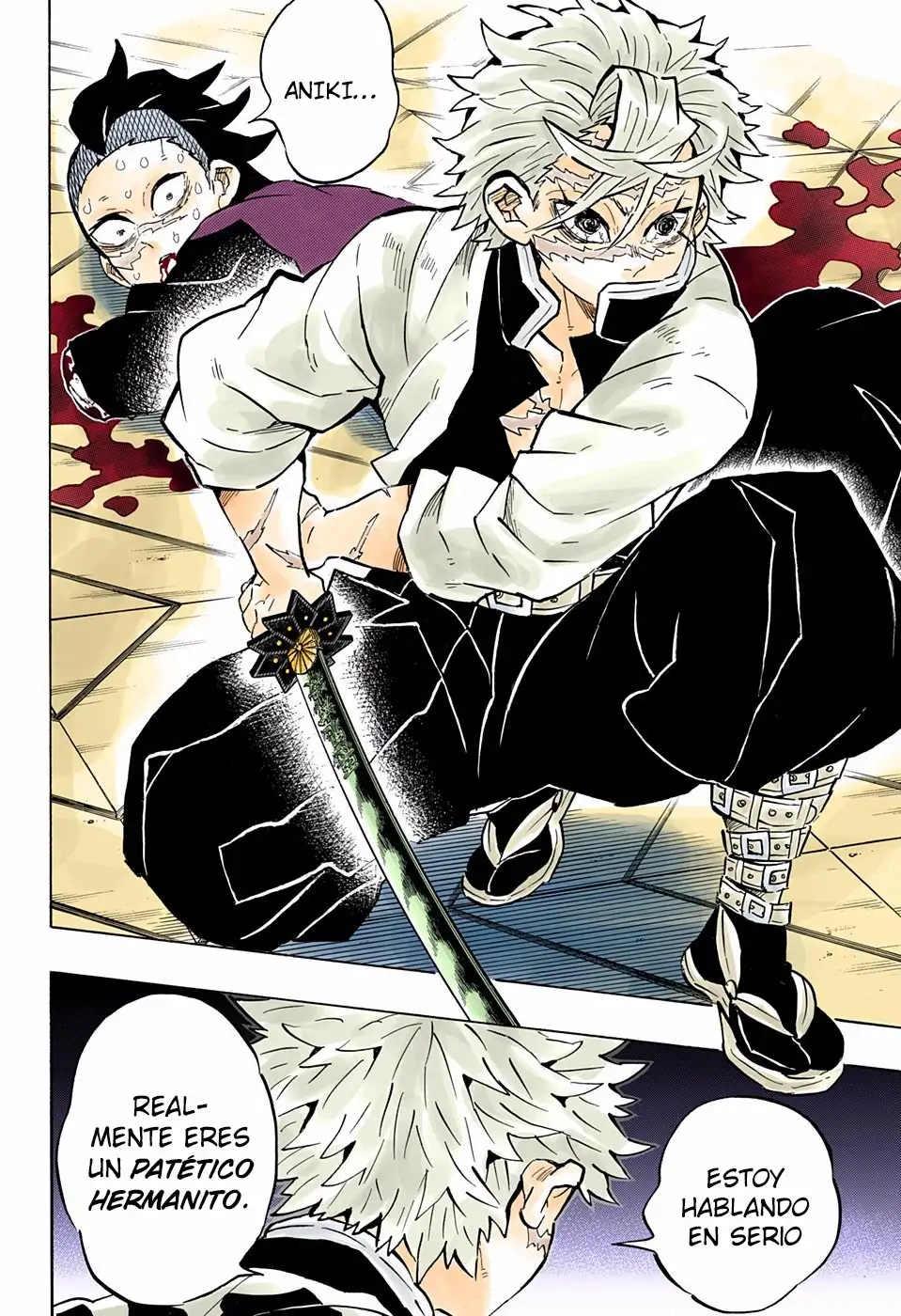 Kimetsu no Yaiba Capitulo 166.5 page 12