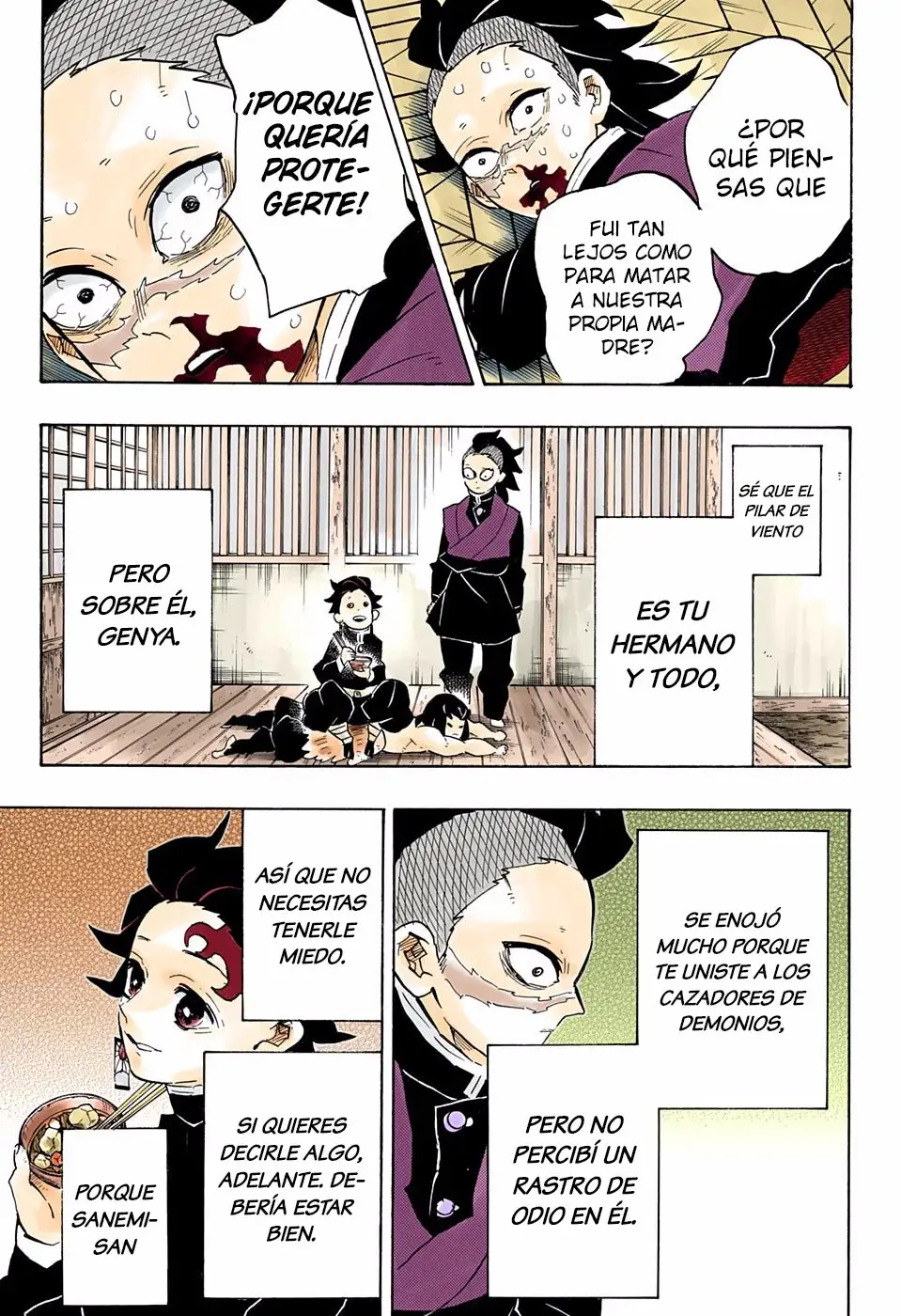 Kimetsu no Yaiba Capitulo 166.5 page 13