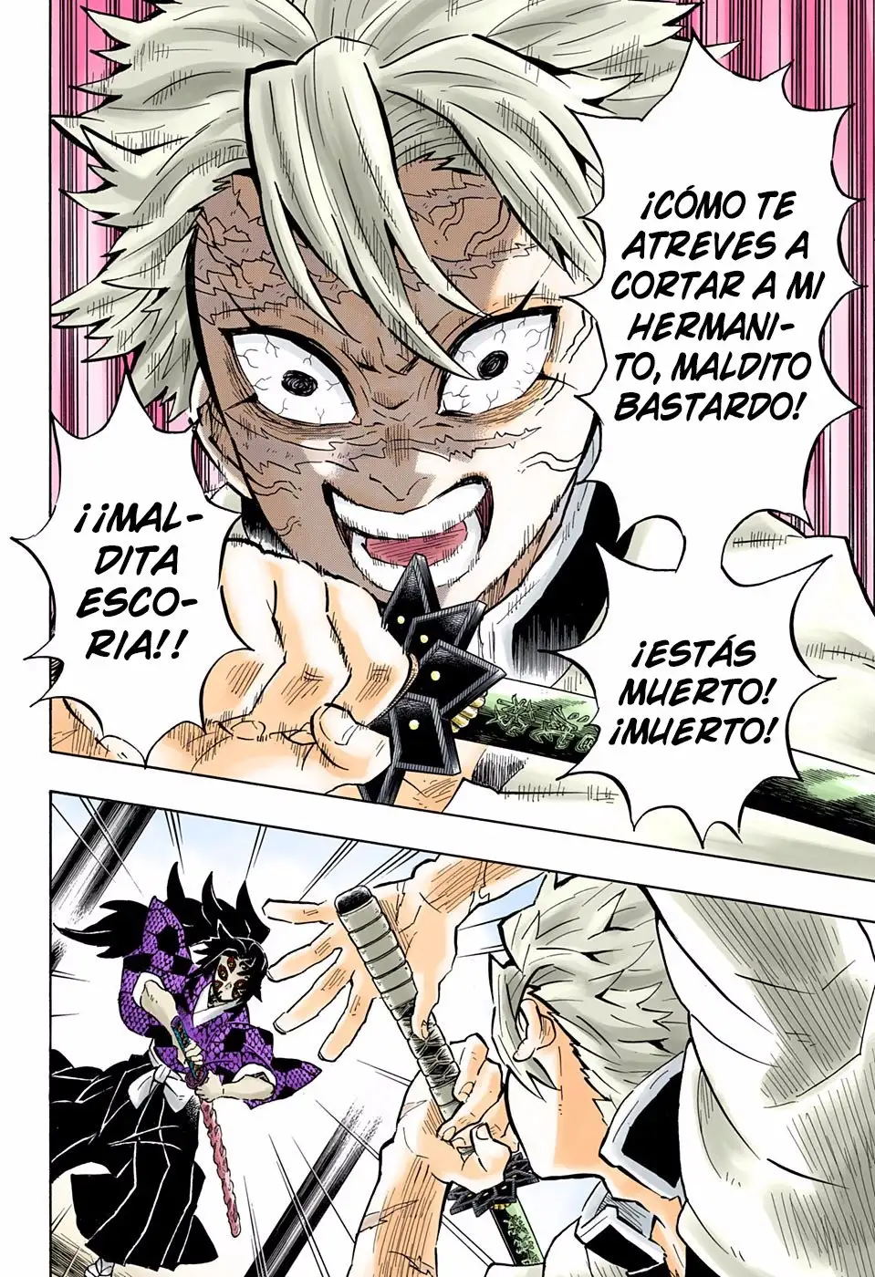 Kimetsu no Yaiba Capitulo 166.5 page 16