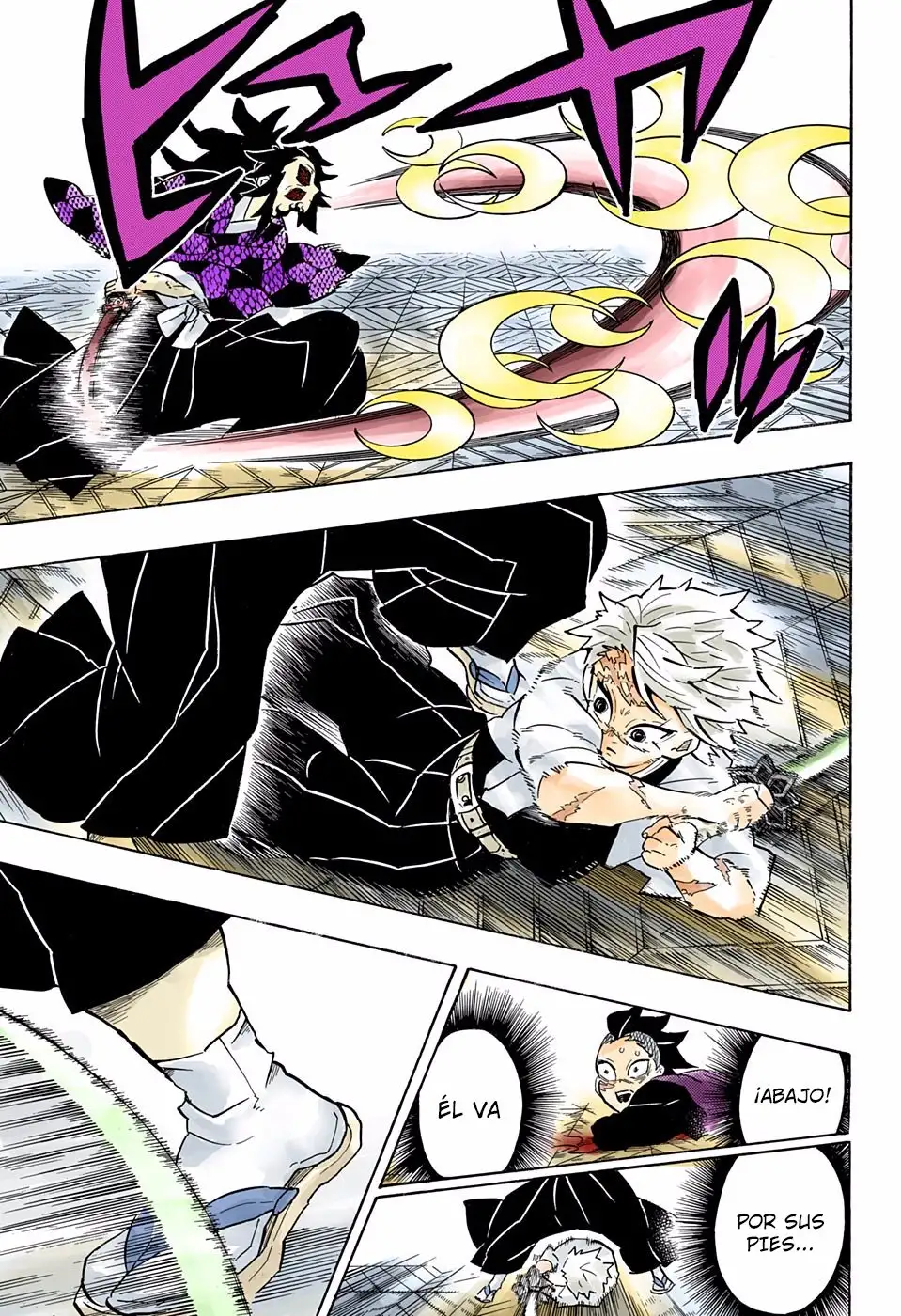 Kimetsu no Yaiba Capitulo 166.5 page 17