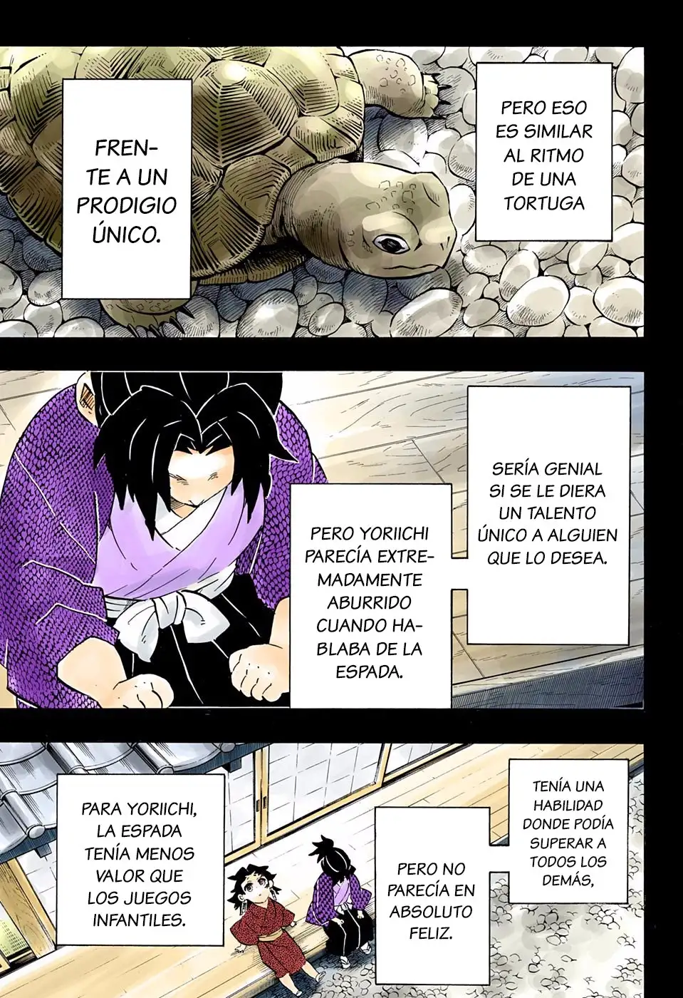 Kimetsu no Yaiba Capitulo 177.5 page 13