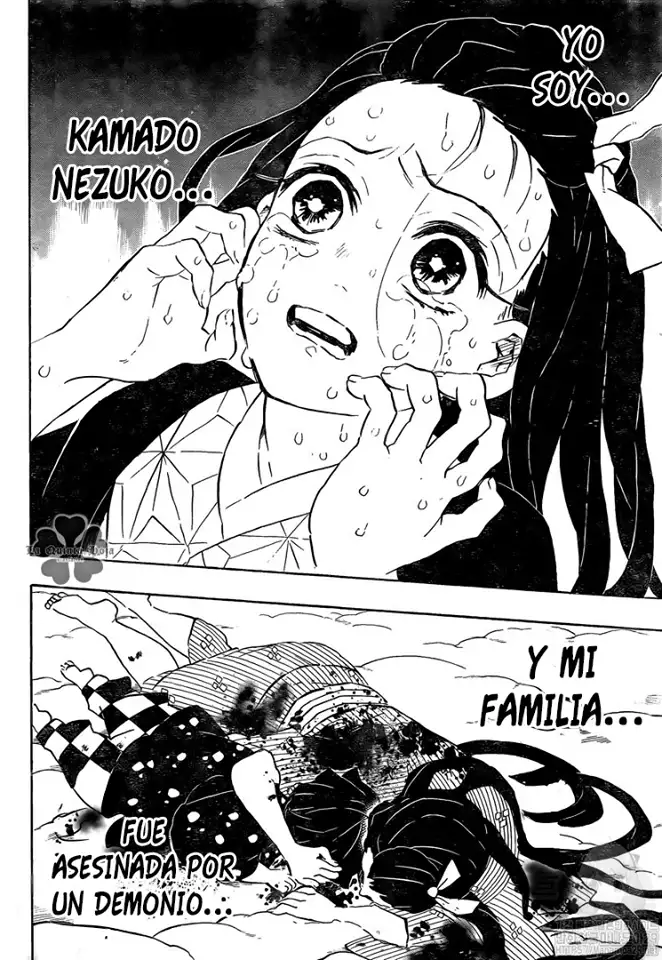 Kimetsu no Yaiba Capitulo 196 page 11