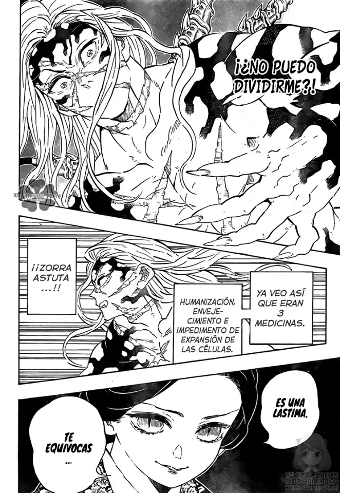 Kimetsu no Yaiba Capitulo 196 page 17
